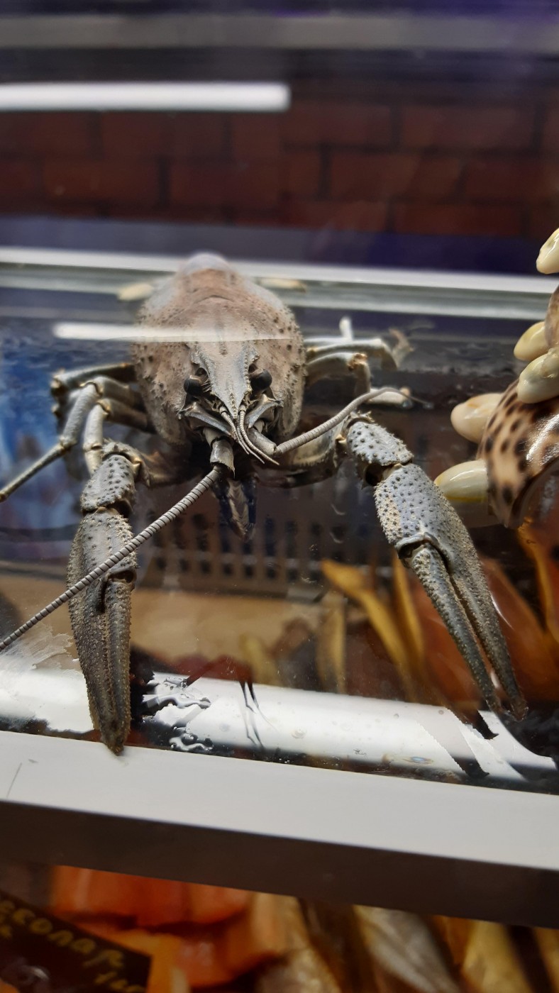 Знакомство. Фото. Нажмите, чтобы увеличить