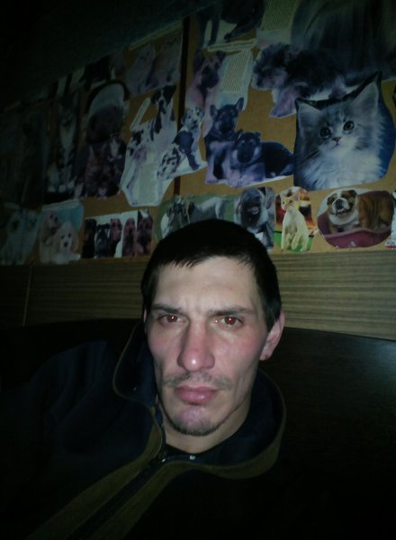 Знакомство. Фото. Нажмите, чтобы увеличить