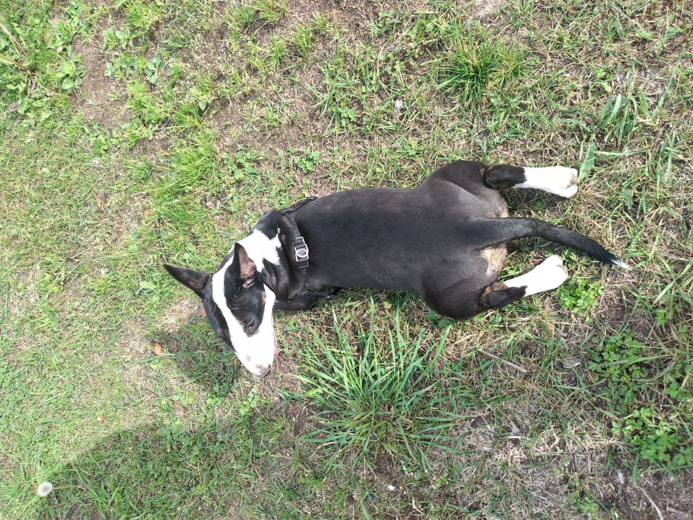 Знакомство. Фото. Нажмите, чтобы увеличить