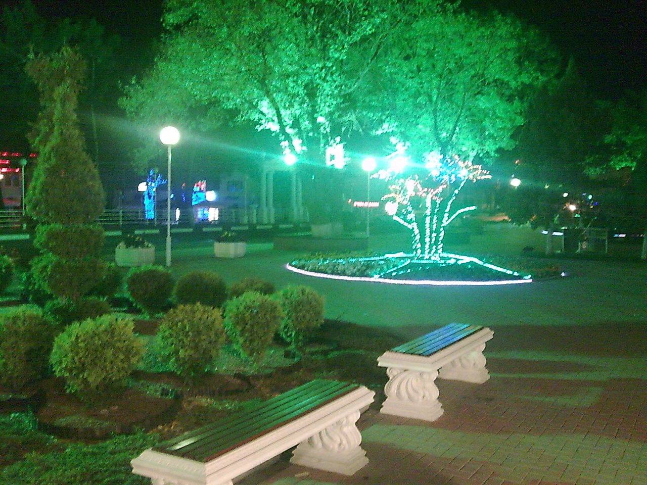 Знакомство. Фото. Нажмите, чтобы увеличить