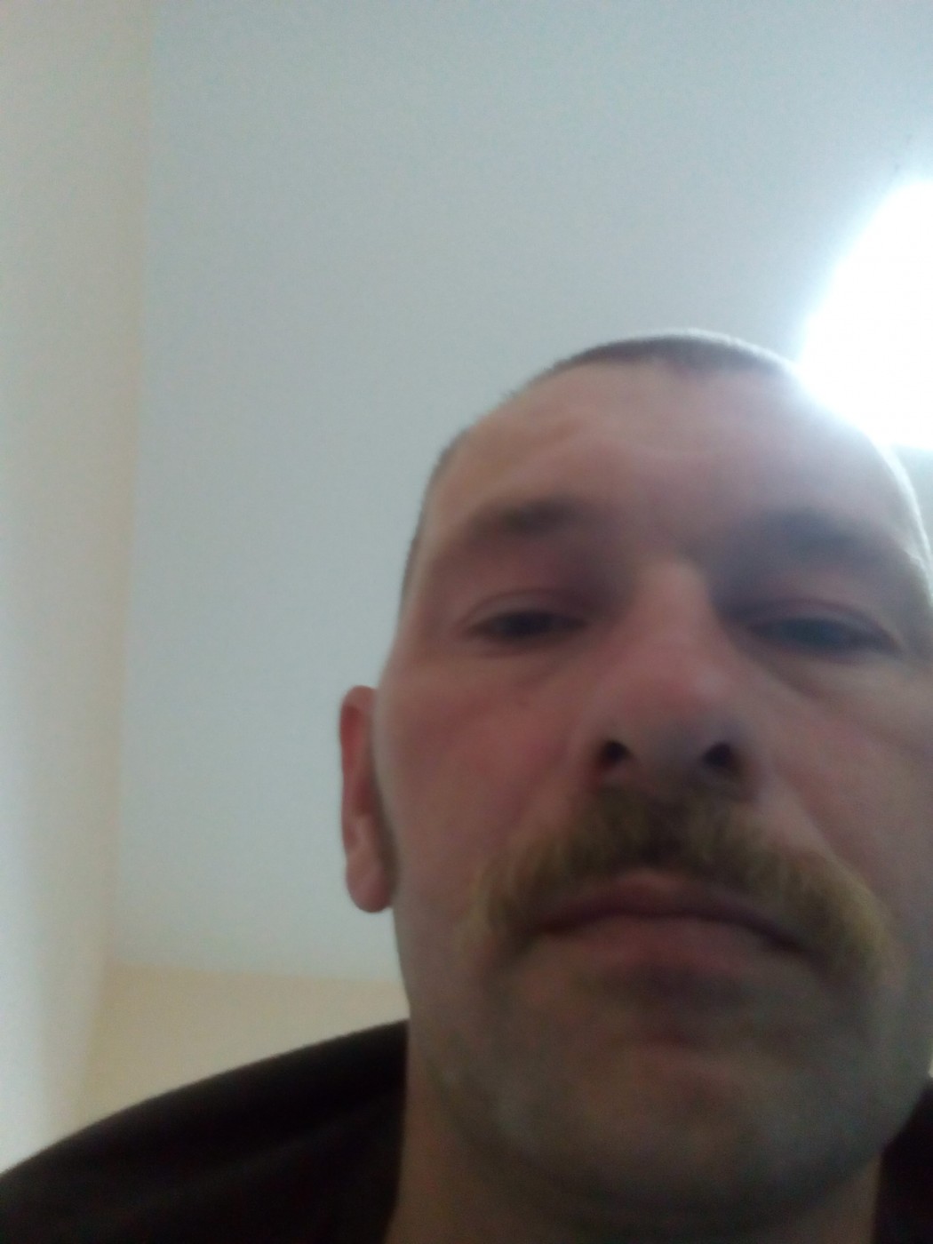 Знакомство. Фото. Нажмите, чтобы увеличить