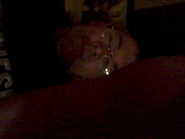 Знакомство. Фото. Нажмите, чтобы увеличить