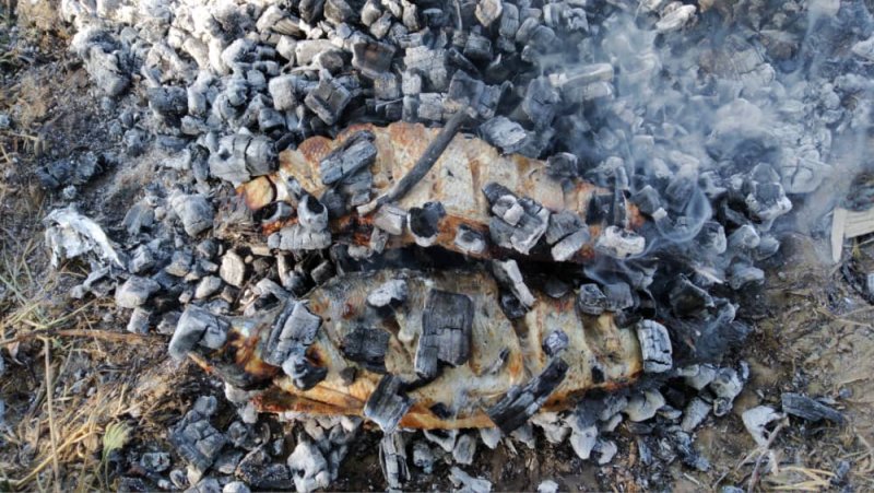 Знакомство. Фото. Нажмите, чтобы увеличить