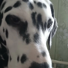 Инна, лет, Сургут